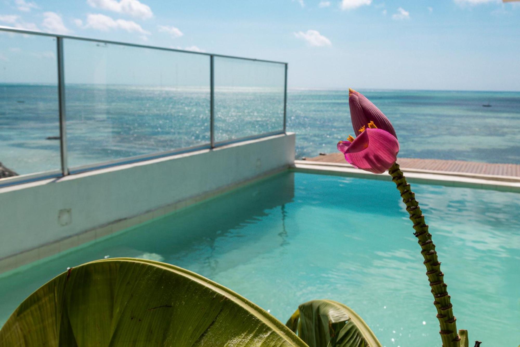 Pili Pili Sunrise Beach Hotel Jambiani (Zanzibar)